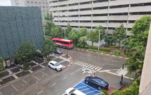 أول الغيث .. أمطار غزيرة تهطل على يافا ومنطقة المركز 